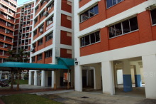 Blk 410 Saujana Road (Bukit Panjang), HDB 5 Rooms #208882